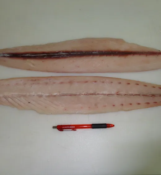 MahiMahi Fillet Skin Off MahiMahi PT Era Mandiri Cemerlang